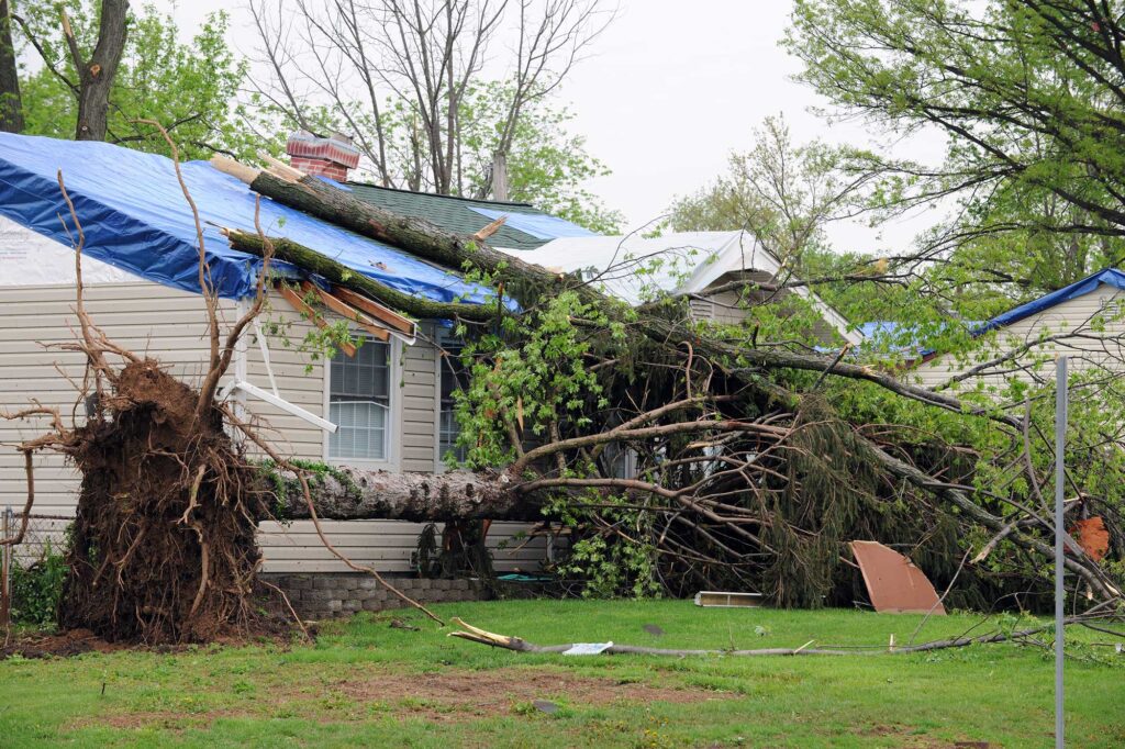 Storm Damage Assistance In Elmwood Park